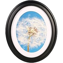 Oval Photo Frames